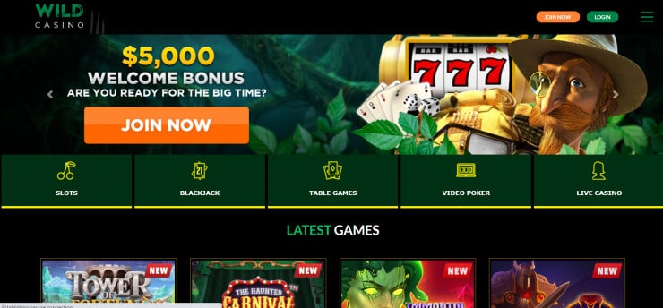 Wild Online Casino in Colorado 
