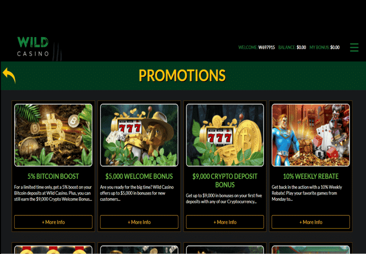 Promotions screen at Casino site.