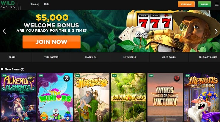 Wild Casino Homepage