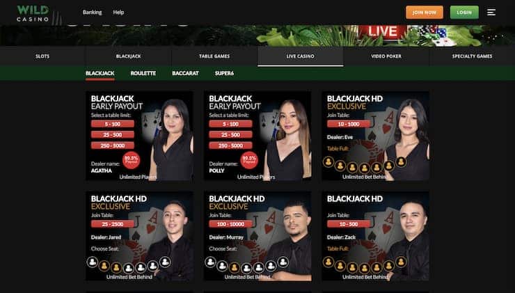 Wild Casino Tether Casino