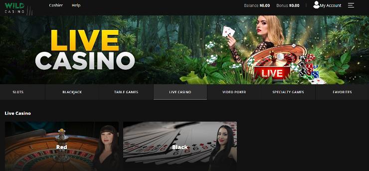 Wild Casino live casino