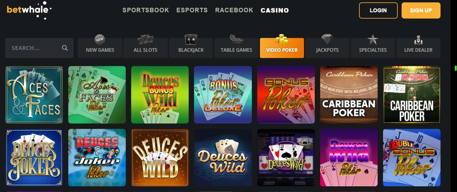new online casinos betwhale video poker